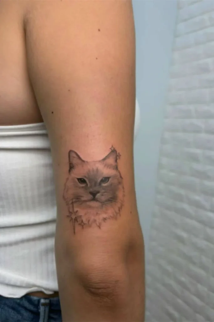 A highly detailed Micro Realism Pet Memorial Tattoo of a fluffy cat's face with expressive eyes and star accents, located on the back of a person's upper arm.