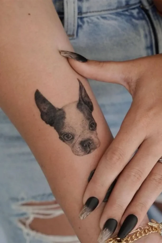 A highly detailed Micro Realism Pet Memorial Tattoo of a Boston Terrier's face on a person's inner forearm, showcasing hyper-realistic textures and expressive eyes.